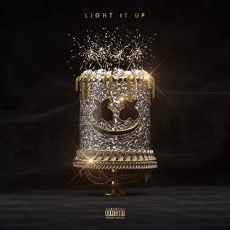 Light It Up by Marshmello, Tyga & Chris Brown song reviws