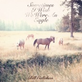 Bill Callahan - All Thoughts Are Prey to Some Beast