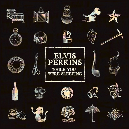 Elvis Perkins - While You Were Sleeping - Single