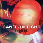 Can't See the Light - Single