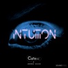 Intuition - Single