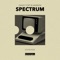 Spectrum - David Tort & Markem lyrics