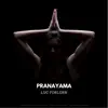 Stream & download Pranayama