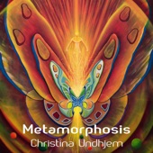 Metamorphosis artwork