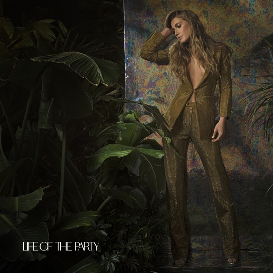 Cover artwork for Life of the Party