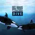 Dive (feat. Chris James) song reviews