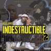 Indestructible 2