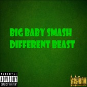 Different Beast artwork