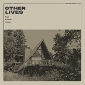 Other Lives - Lost Day