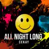 Stream & download All Night Long - Single