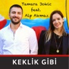 Keklik Gibi (feat. Alp Akmaz) - Single