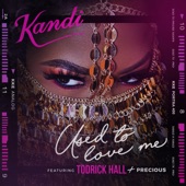 Used To Love Me (feat. Todrick Hall & Precious) artwork