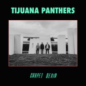 Tijuana Panthers - Path of Totality