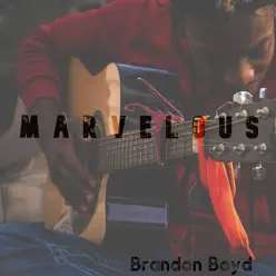 Marvelous - Single - Brandon Boyd