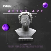 In2deep Records Presents Astro Ape artwork