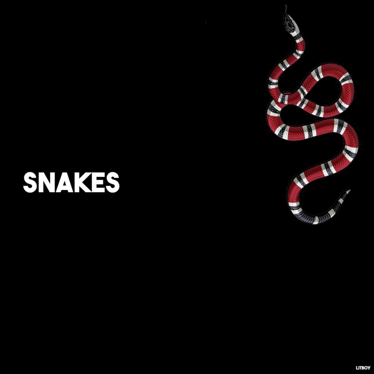 Lyric the Snake. Змеи СЛУШАЮТ. Snake text Layout.