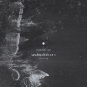 Seabuckthorn - I Encountered Only Dark