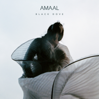 Amaal - Black Dove - EP artwork