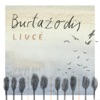 Burtažodis - Single