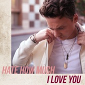 Hate How Much I Love You artwork