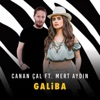Galiba (feat. Mert Aydın) [Remix] - Single