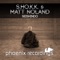 Seishindo (Venetica Remix) - S.H.O.K.K. & Matt Noland lyrics
