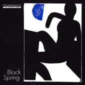 Seatbelts - Black Spring