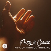 King Of Wishful Thinking artwork