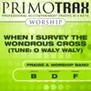 When I Survey the Wondrous Cross (Worship Primotrax) [Performance Tracks] - EP album lyrics, reviews, download