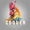 coquer-club-edit-single