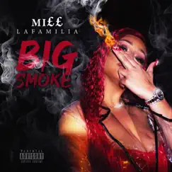 Big Smoke - Single by Miss Lafamilia album reviews, ratings, credits