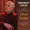 Fosso Nejdat - Single