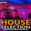 House Selection: Electro Edition