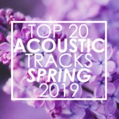 Top 20 Acoustic Tracks Spring 2019 artwork