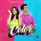 Color (feat. Daniel del Valle) artwork