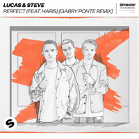 Lucas & Steve - Perfect (feat. Haris) [Gabry Ponte Remix] artwork