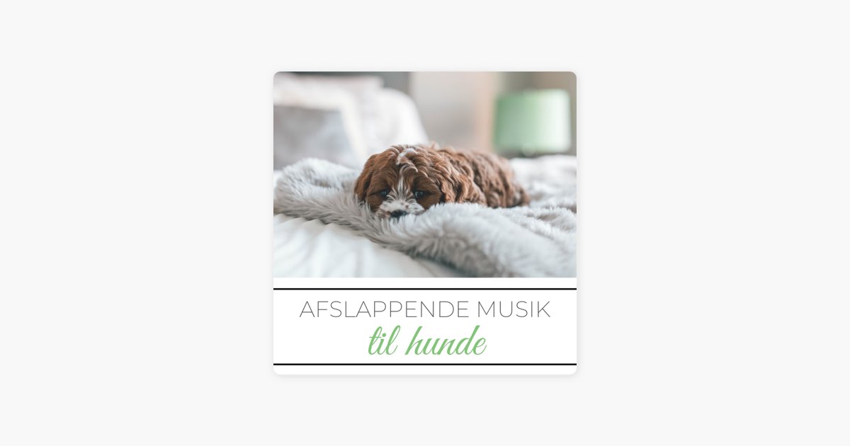 frugtbart Krønike Bug Slappe af Musik by Hvid Hund — Song on Apple Music