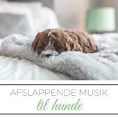 Afslappende Musik til Hunde - Musik til Slappe af Sove din Hund eller Kat artwork
