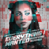 everything i wanted (Amapiano Remixes) - Single artwork