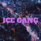 Ice Gang (feat. Knh, Nig777 & Insano Mc) - Jet Máfia lyrics