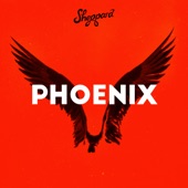 Phoenix artwork