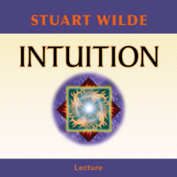 Stuart Wilde - Intuition artwork