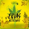 Ervas Medicinais - Single