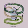 Perfect Wonder - Single