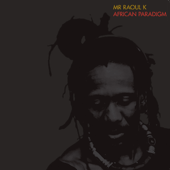 African Paradigm - Mr Raoul K