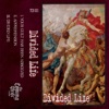 Divided Life - Single