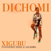 Di Chomi (feat. Asterix Sojat & Salmawa) artwork