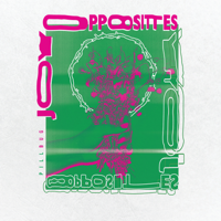 Pillbug-Joy Opposites