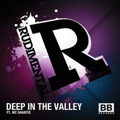 Deep in the Valley - EP - Rudimental