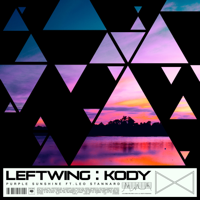 Leftwing & Kody - Purple Sunshine (feat. Leo Stannard) artwork